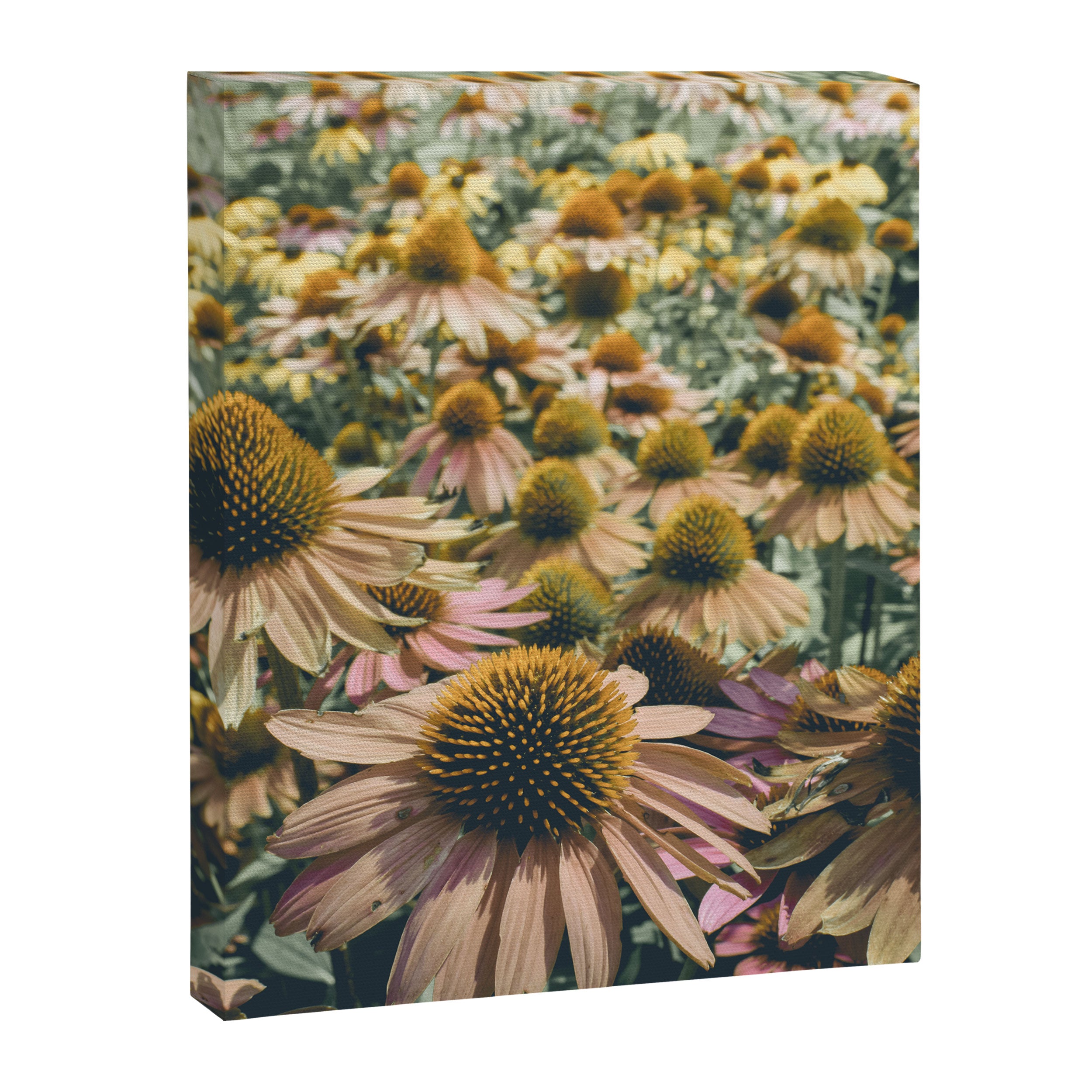 Summer in Full Bloom Canvas Print Gallery Image 6