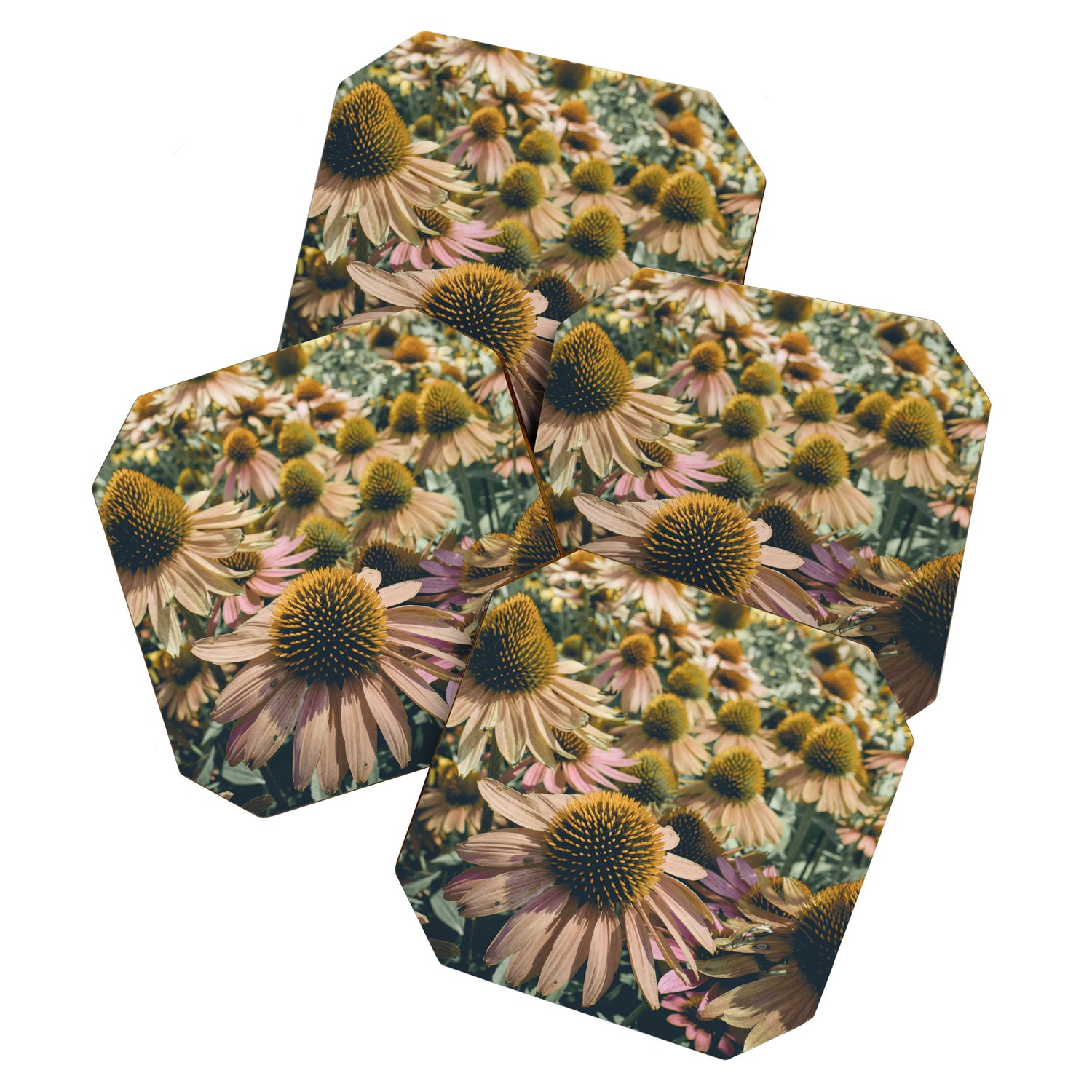 Summer in Full Bloom Coaster Gallery Image 1