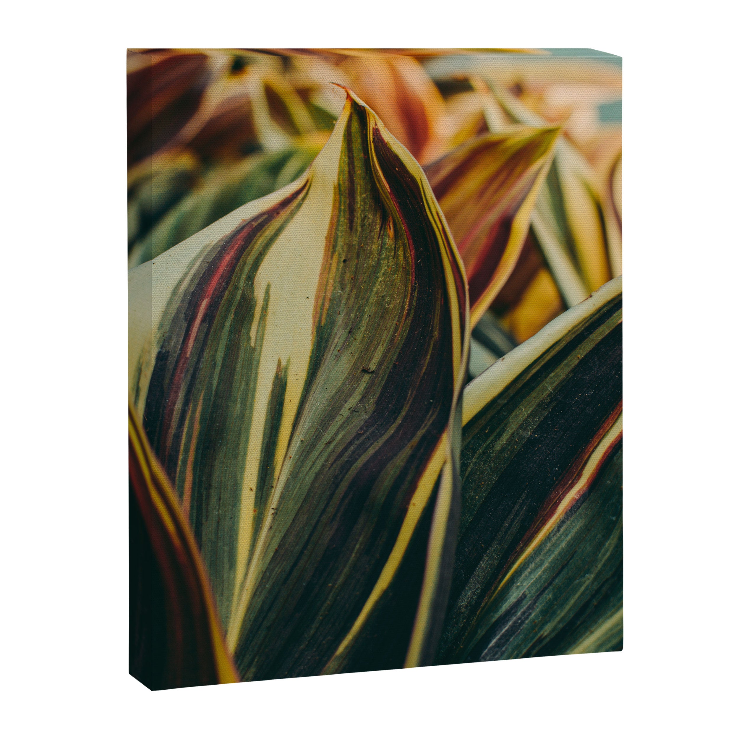 Summer Leaves Canvas Print Gallery Image 6