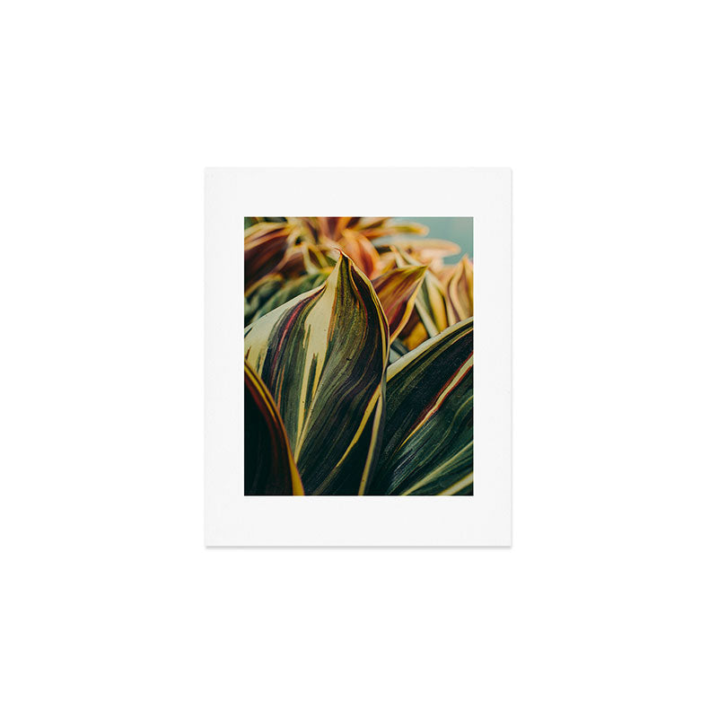 Summer Leaves Art Print Gallery Image 1