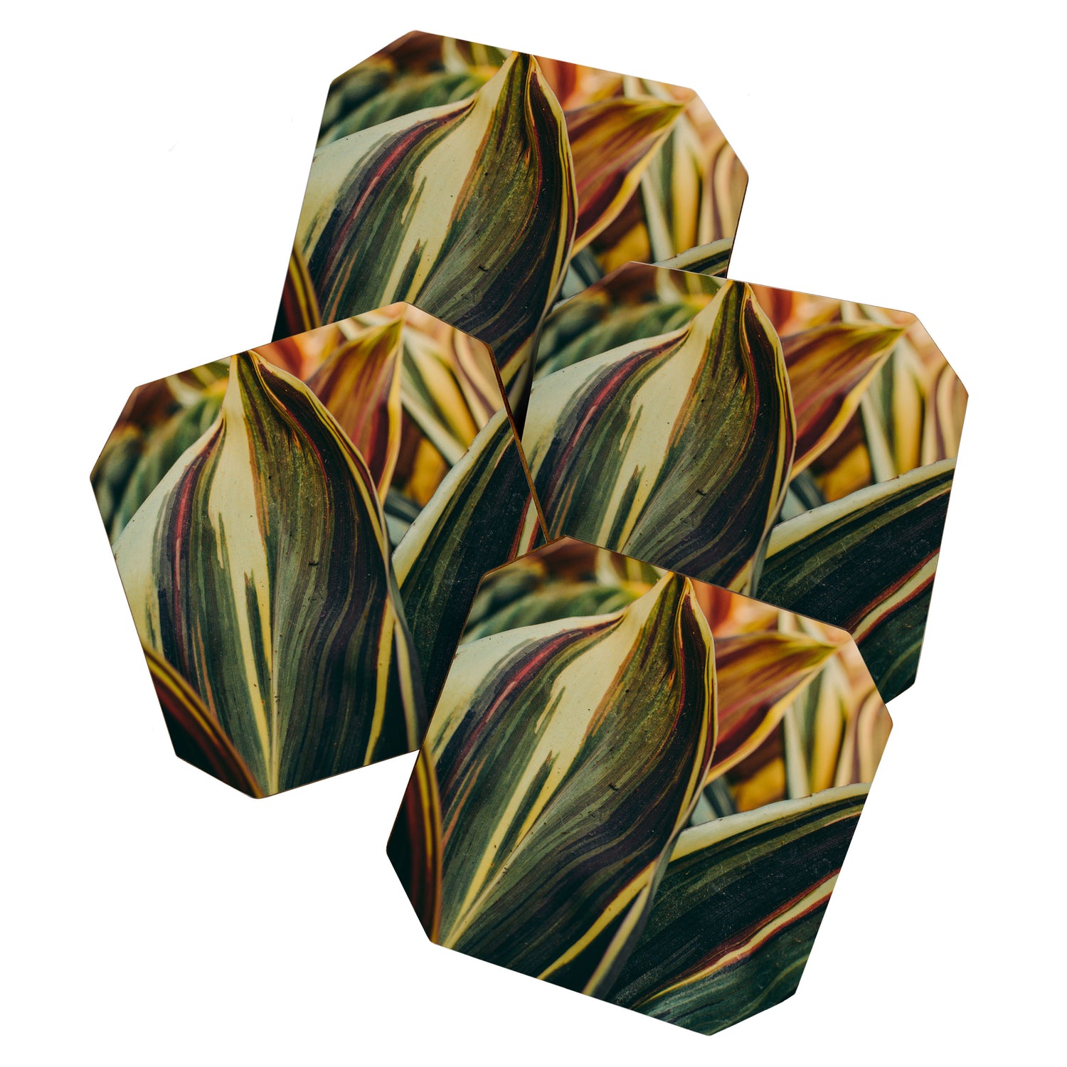 Summer Leaves Coaster Gallery Image 1