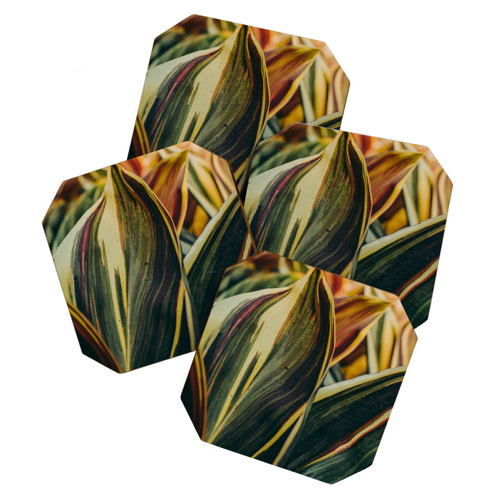 Summer Leaves Coaster Gallery Image 1