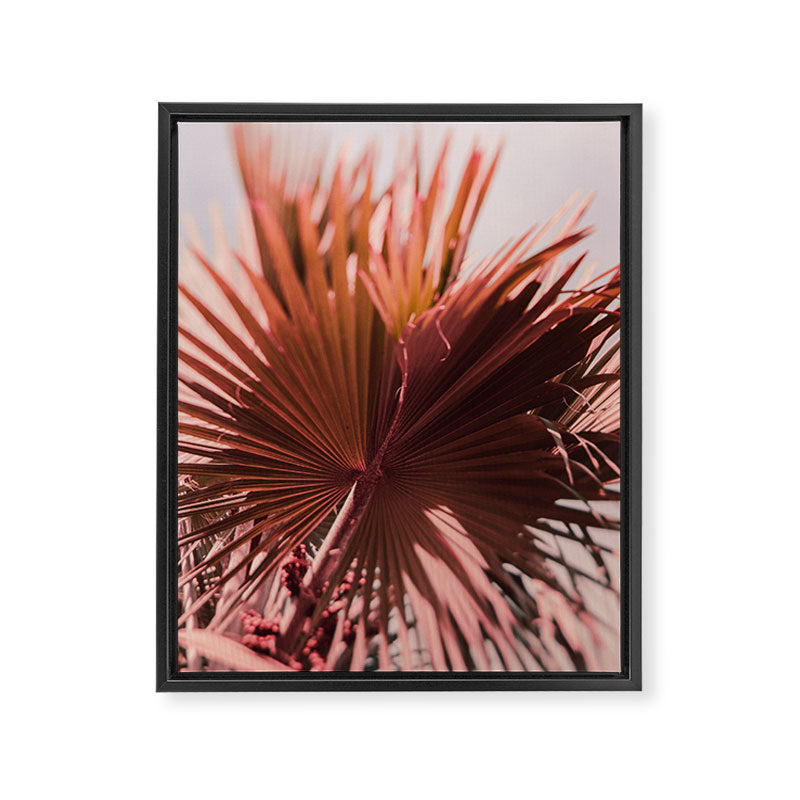 Summer Morning Framed Canvas Print Gallery Image 6