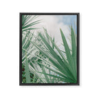 Summer Sea Breeze Framed Canvas Print Gallery Image 6