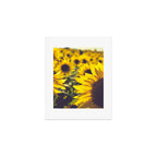 Summer Sunflower Love - boho flower photography Art Print Gallery Image 1