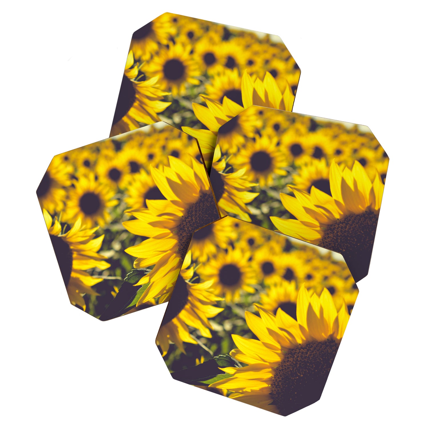 Summer Sunflower Love - boho flower photography Coaster Gallery Image 1
