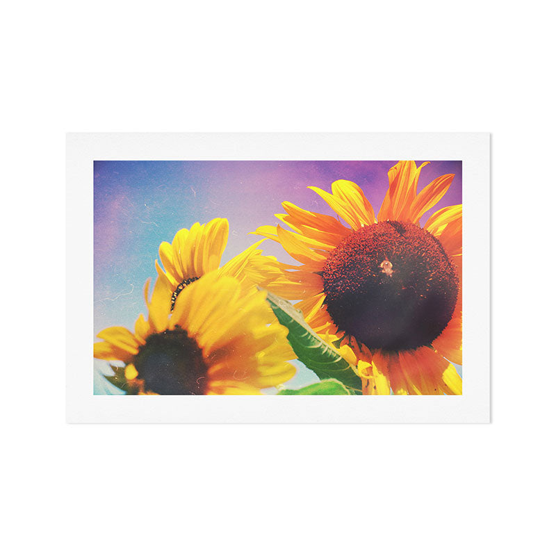 Summer Sunshine Day Art Print Gallery Image 1