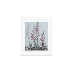 summer wildflowers - botanical flower photograph summer Maine Art Print Gallery Image 1