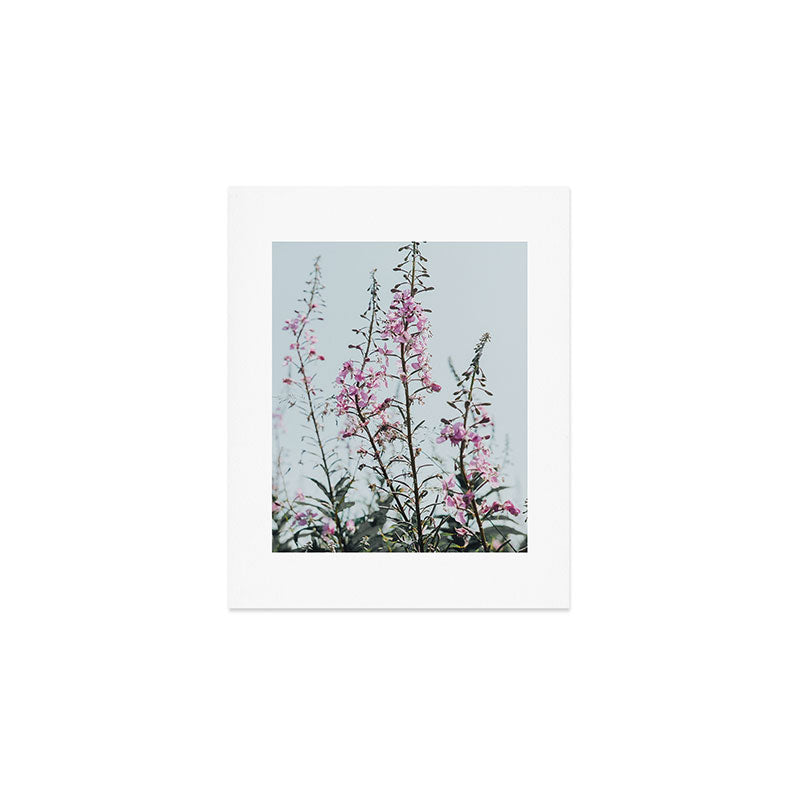 summer wildflowers - botanical flower photograph summer Maine Art Print Gallery Image 1