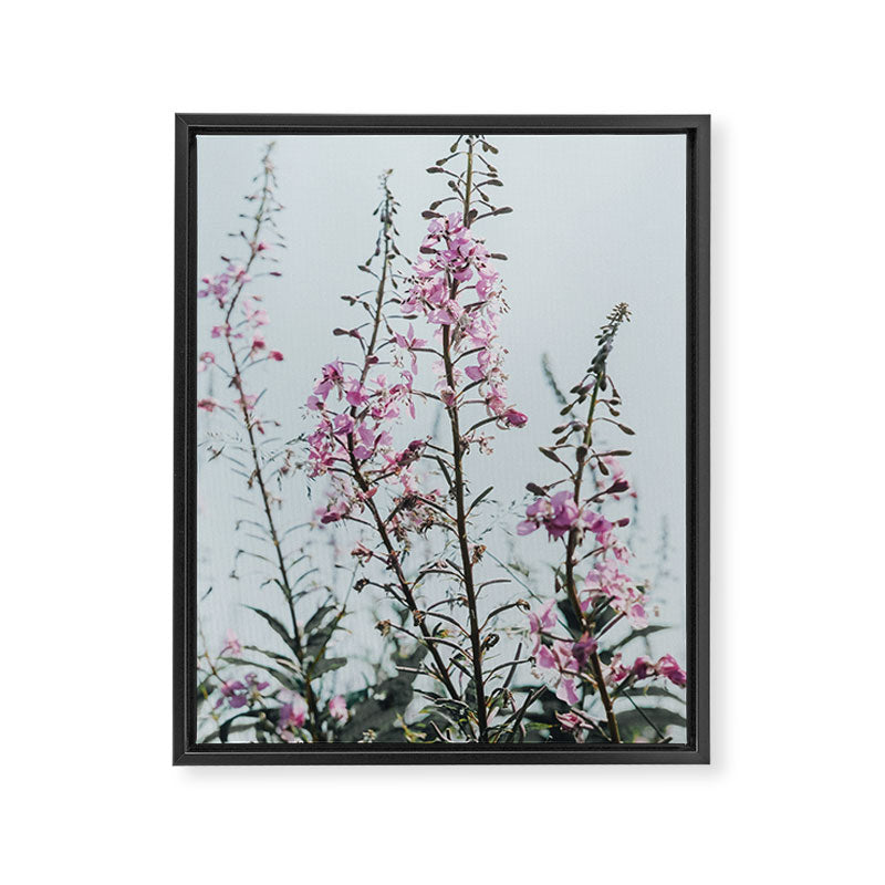 summer wildflowers - botanical flower photograph summer Maine Framed Canvas Print Gallery Image 6
