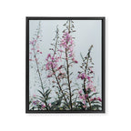 summer wildflowers - botanical flower photograph summer Maine Framed Canvas Print Gallery Image 6