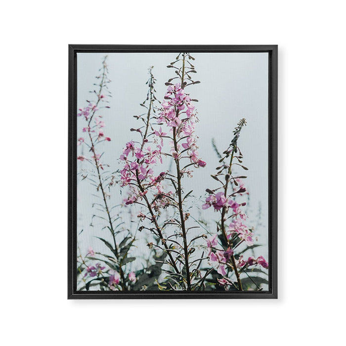summer wildflowers - botanical flower photograph summer Maine Framed Canvas Print Gallery Image 1