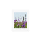 summer wildflowers no. 2 - botanical photograph maine flowers Art Print Gallery Image 1