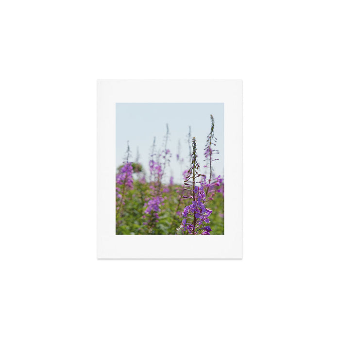 summer wildflowers no. 2 - botanical photograph maine flowers Art Print Gallery Image 1