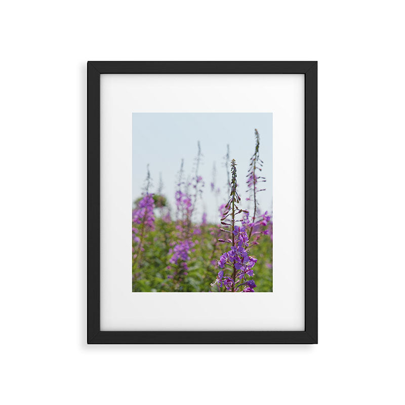summer wildflowers no. 2 - botanical photograph maine flowers Framed Art Print Gallery Image 5