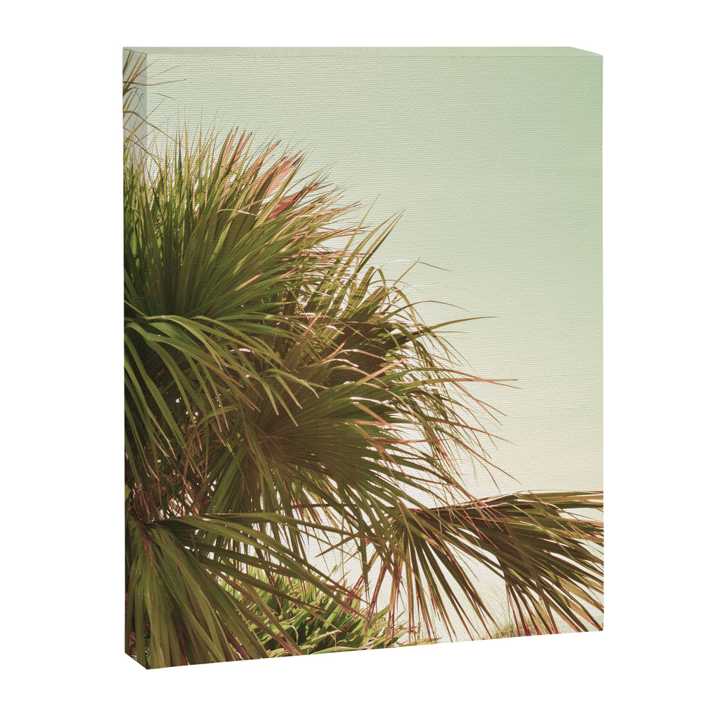 Sun Kissed Canvas Print Gallery Image 6