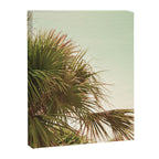 Sun Kissed Canvas Print Gallery Image 6