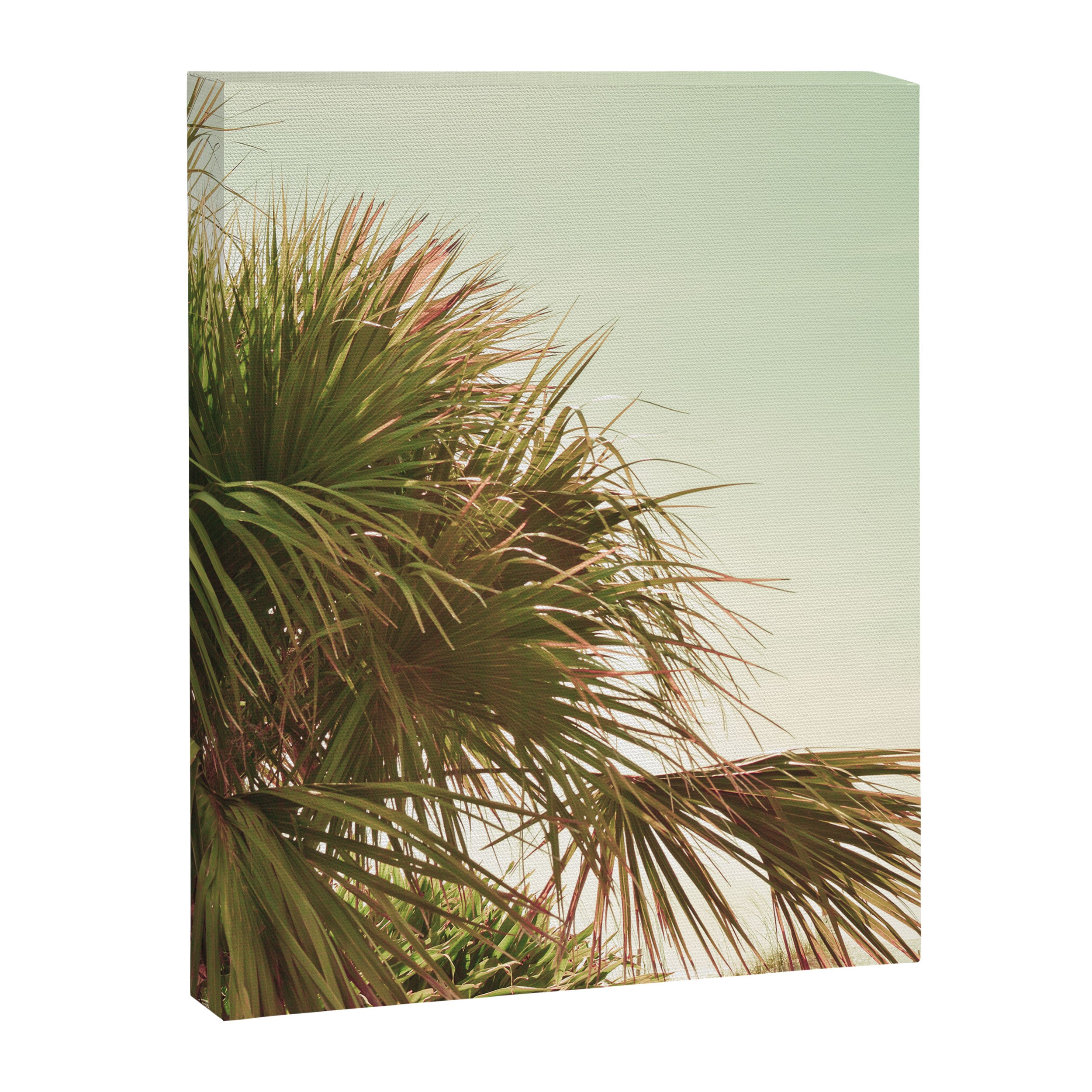 Sun Kissed Canvas Print Gallery Image 6