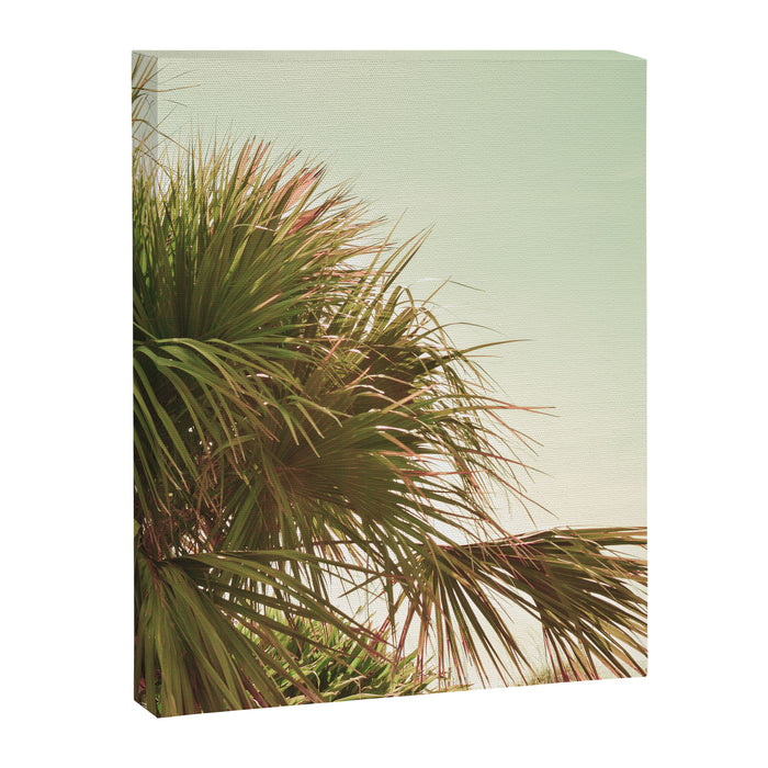Sun Kissed Canvas Print Gallery Image 1