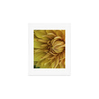 Sunny Disposition x Yellow Dahlia flower botanical photograph Art Print Gallery Image 1