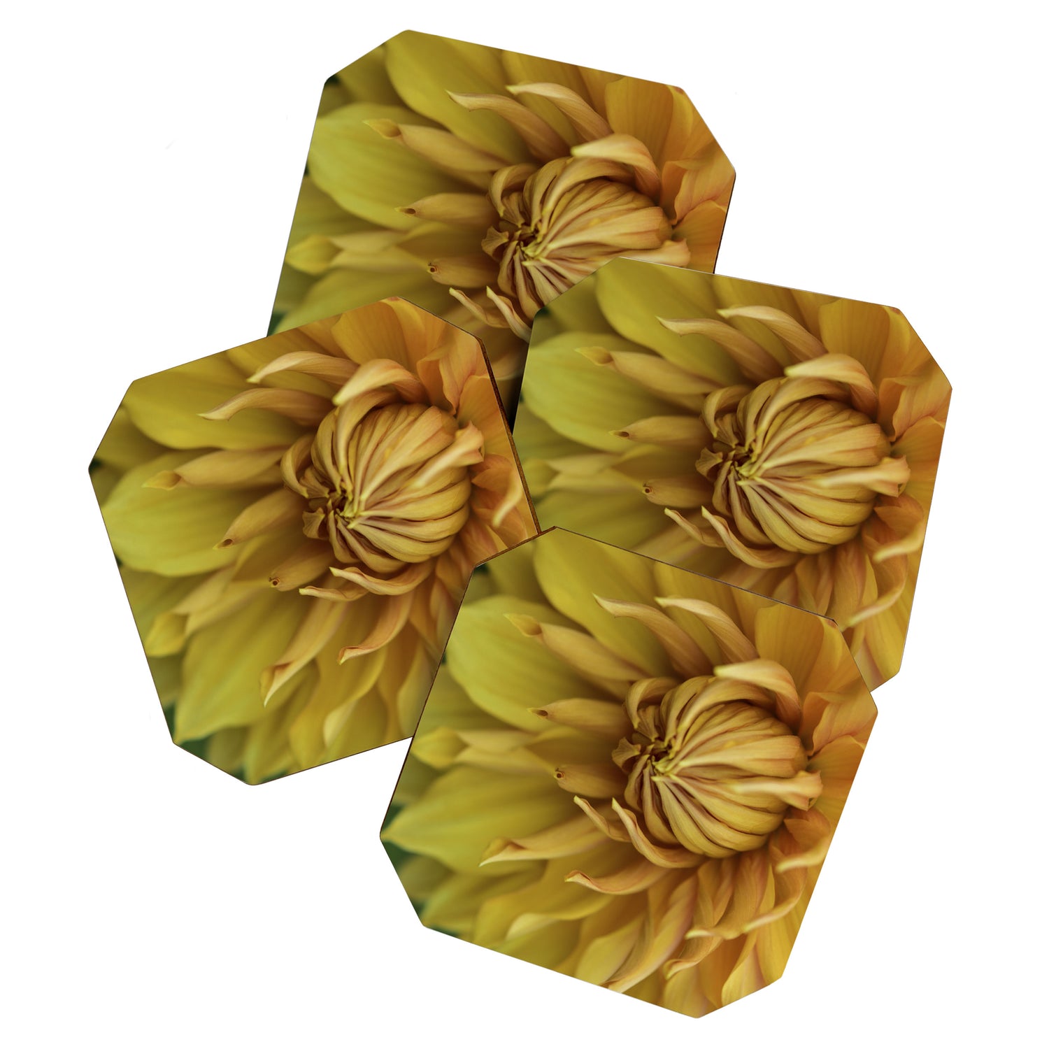 Sunny Disposition x Yellow Dahlia flower botanical photograph Coaster Gallery Image 1