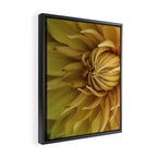 Sunny Disposition x Yellow Dahlia flower botanical photograph Framed Canvas Print Gallery Image 2