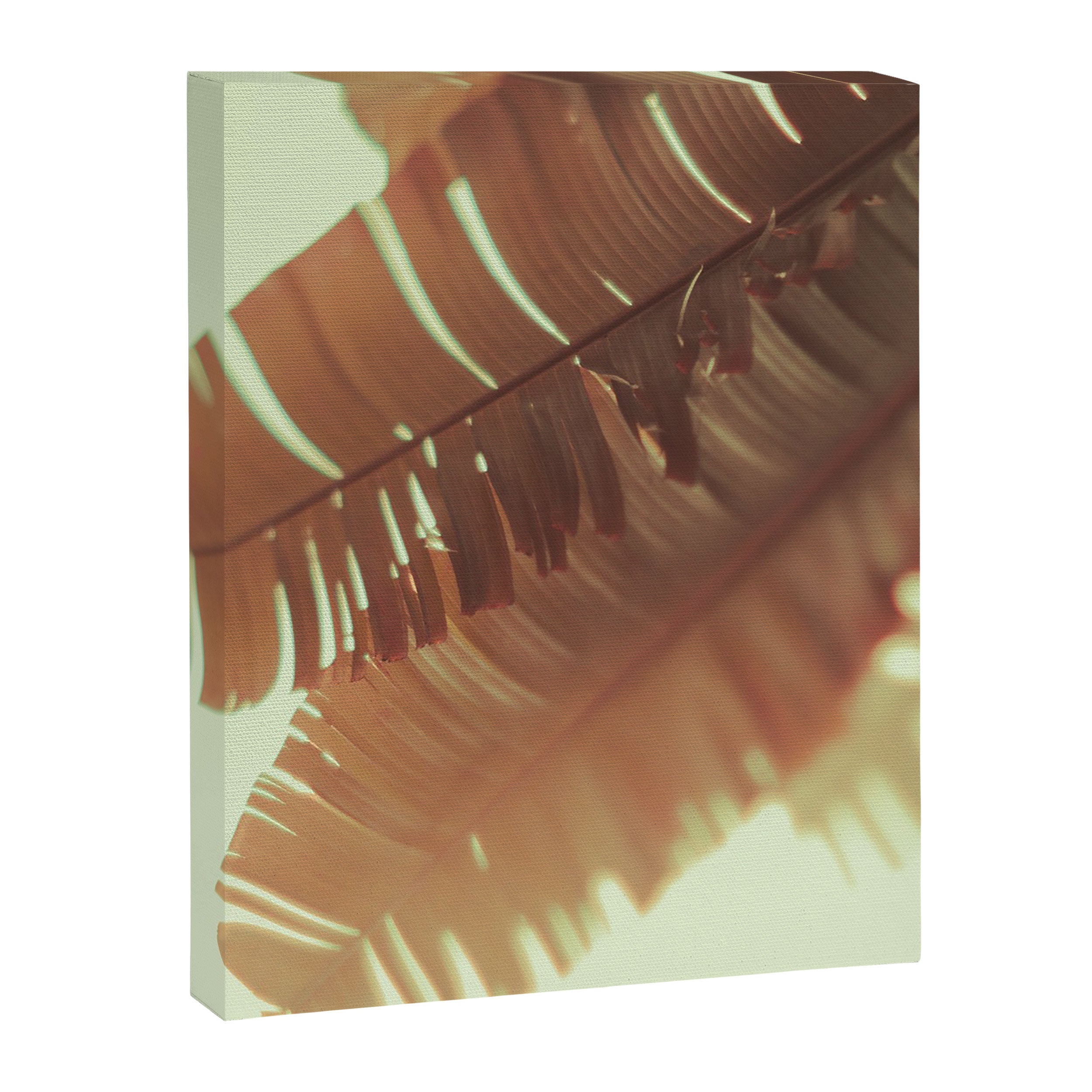 Sunset Banana Leaves II Canvas Print Gallery Image 6
