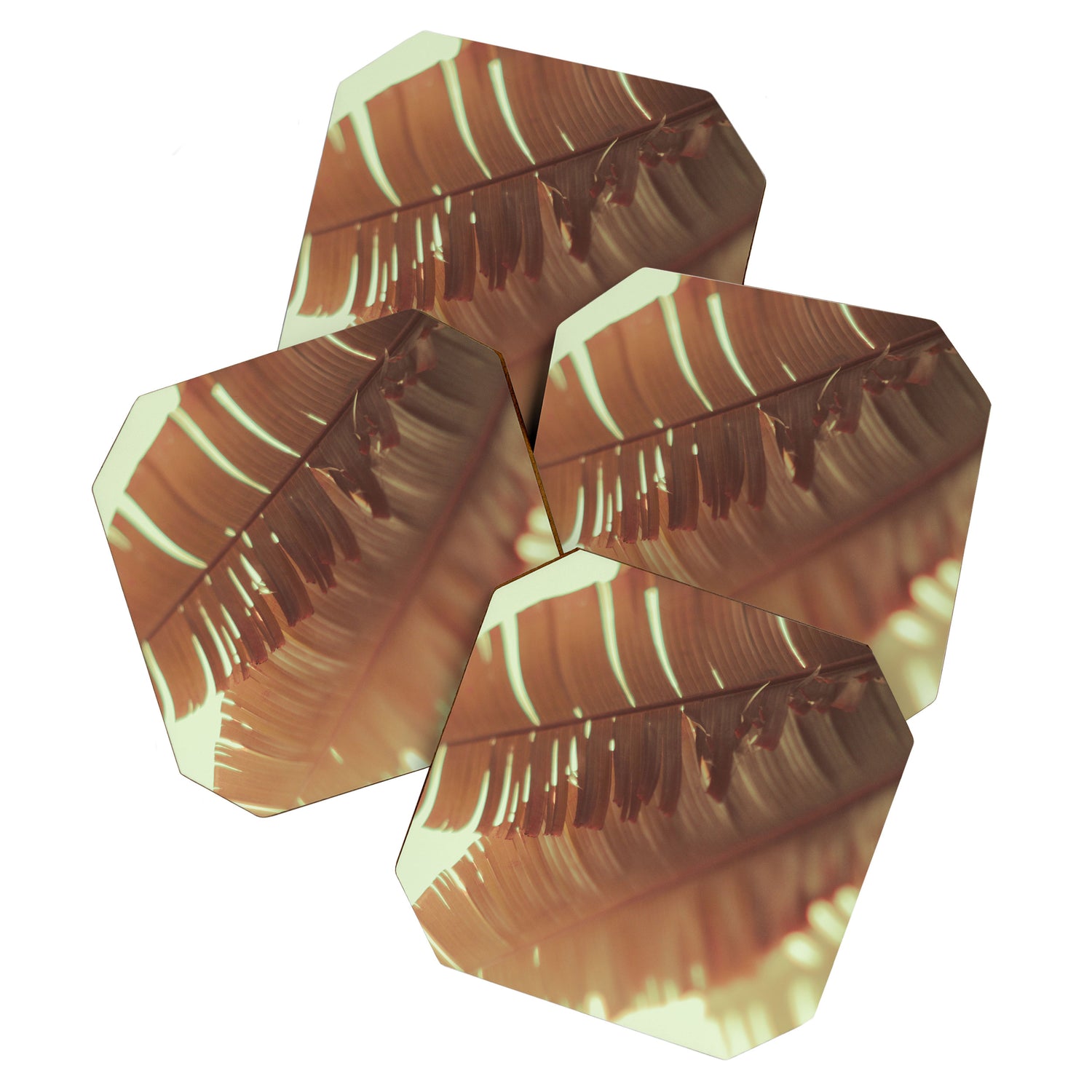 Sunset Banana Leaves II Coaster Gallery Image 1