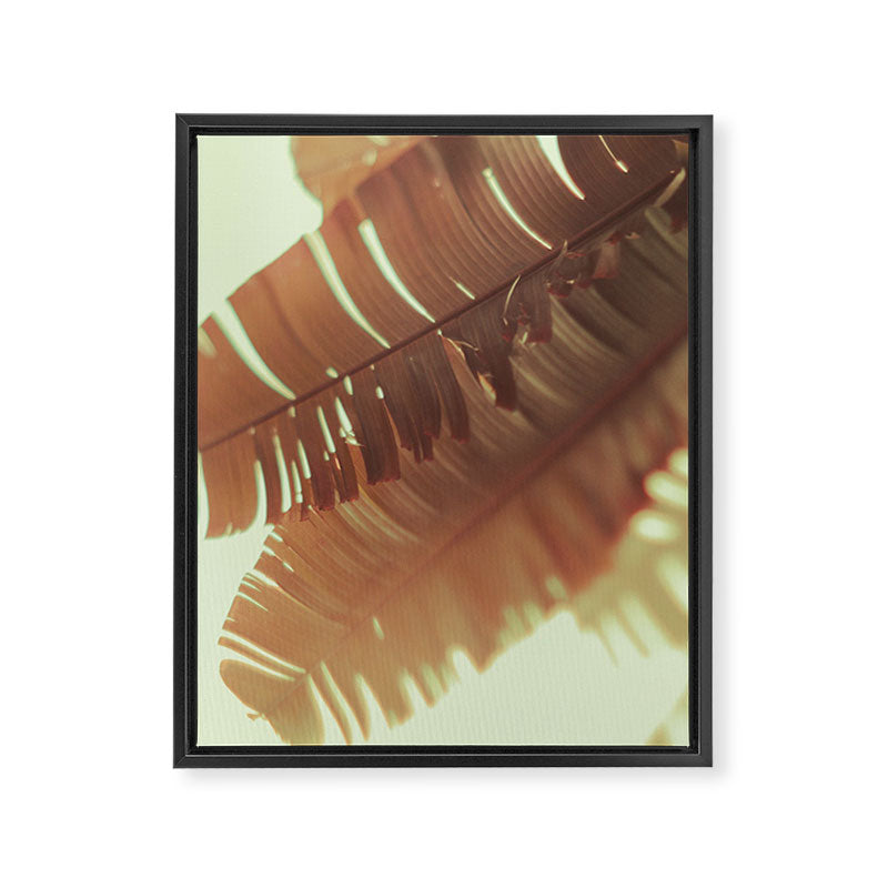 Sunset Banana Leaves II Framed Canvas Print Gallery Image 6