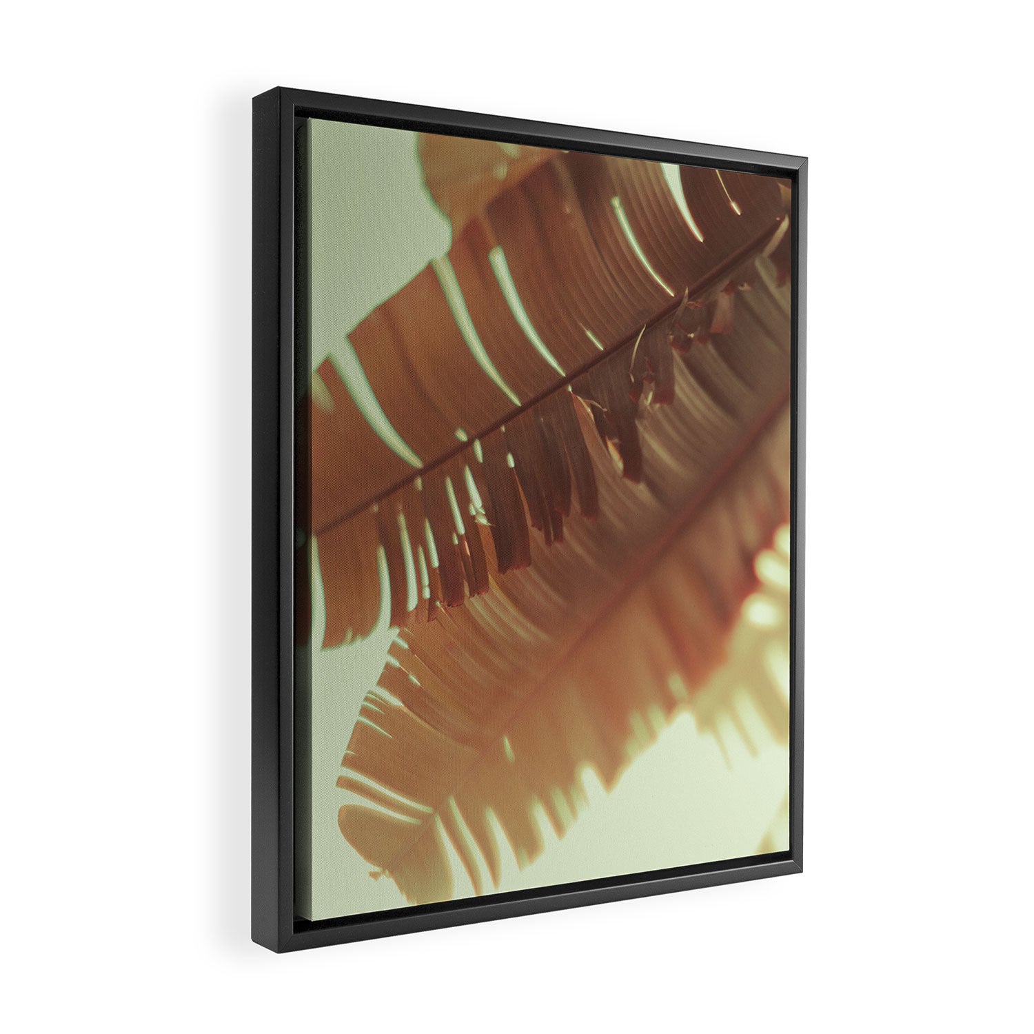 Sunset Banana Leaves II Framed Canvas Print Gallery Image 2
