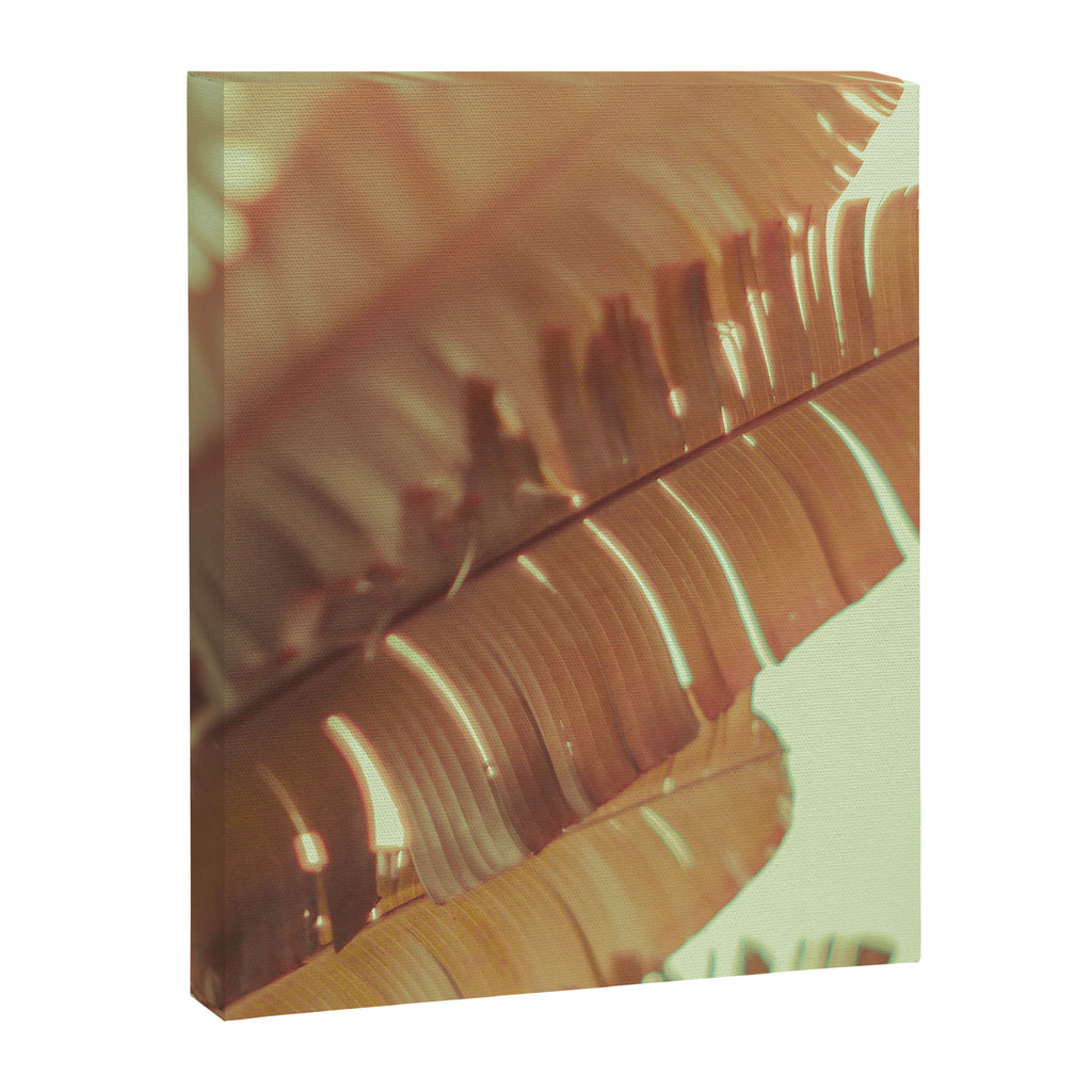 Sunset Banana Leaves tropical leaf botanical photograph Canvas Print Gallery Image 6