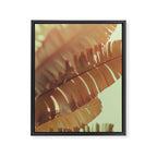 Sunset Banana Leaves tropical leaf botanical photograph Framed Canvas Print Gallery Image 6