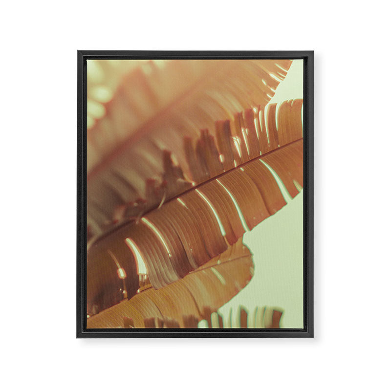 Sunset Banana Leaves tropical leaf botanical photograph Framed Canvas Print Gallery Image 6