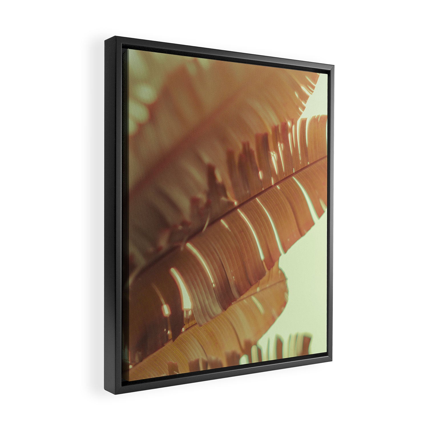 Sunset Banana Leaves tropical leaf botanical photograph Framed Canvas Print Gallery Image 2