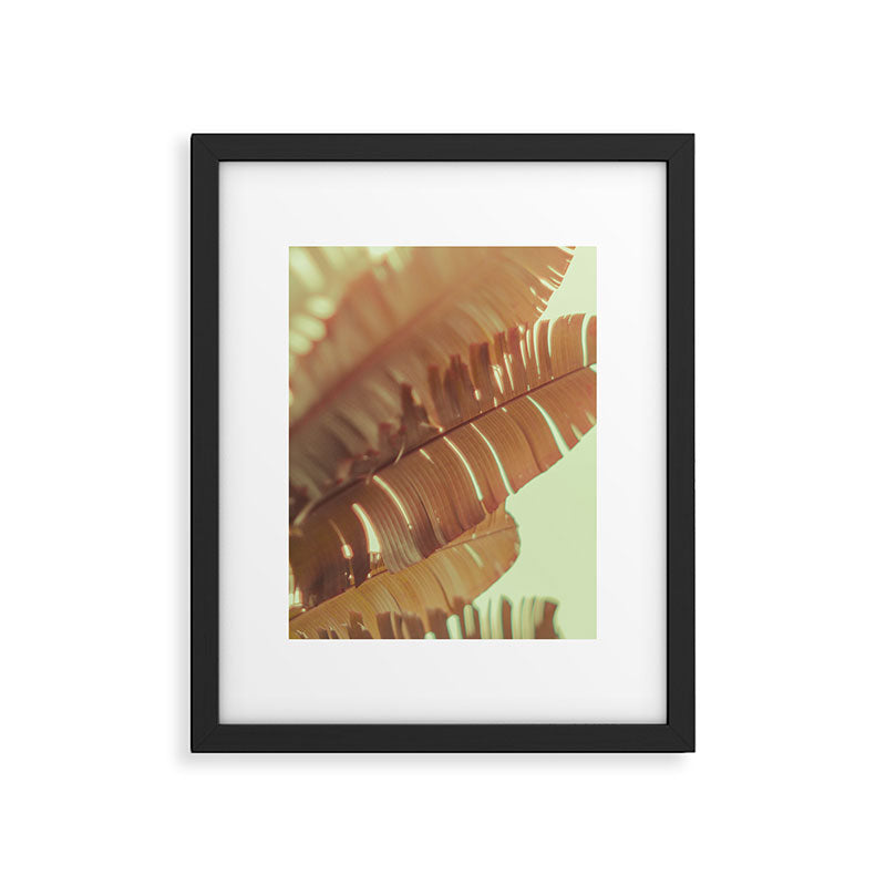 Sunset Banana Leaves tropical leaf botanical photograph Framed Art Print Gallery Image 5
