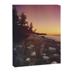 Sunset By the Sea Canvas Print Gallery Image 6