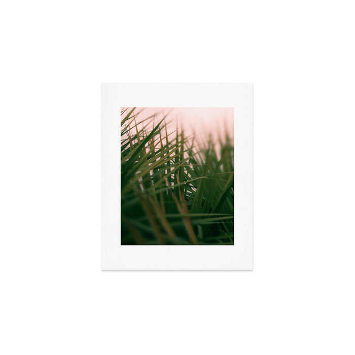 Sunset Palmettos Art Print Gallery Image 1