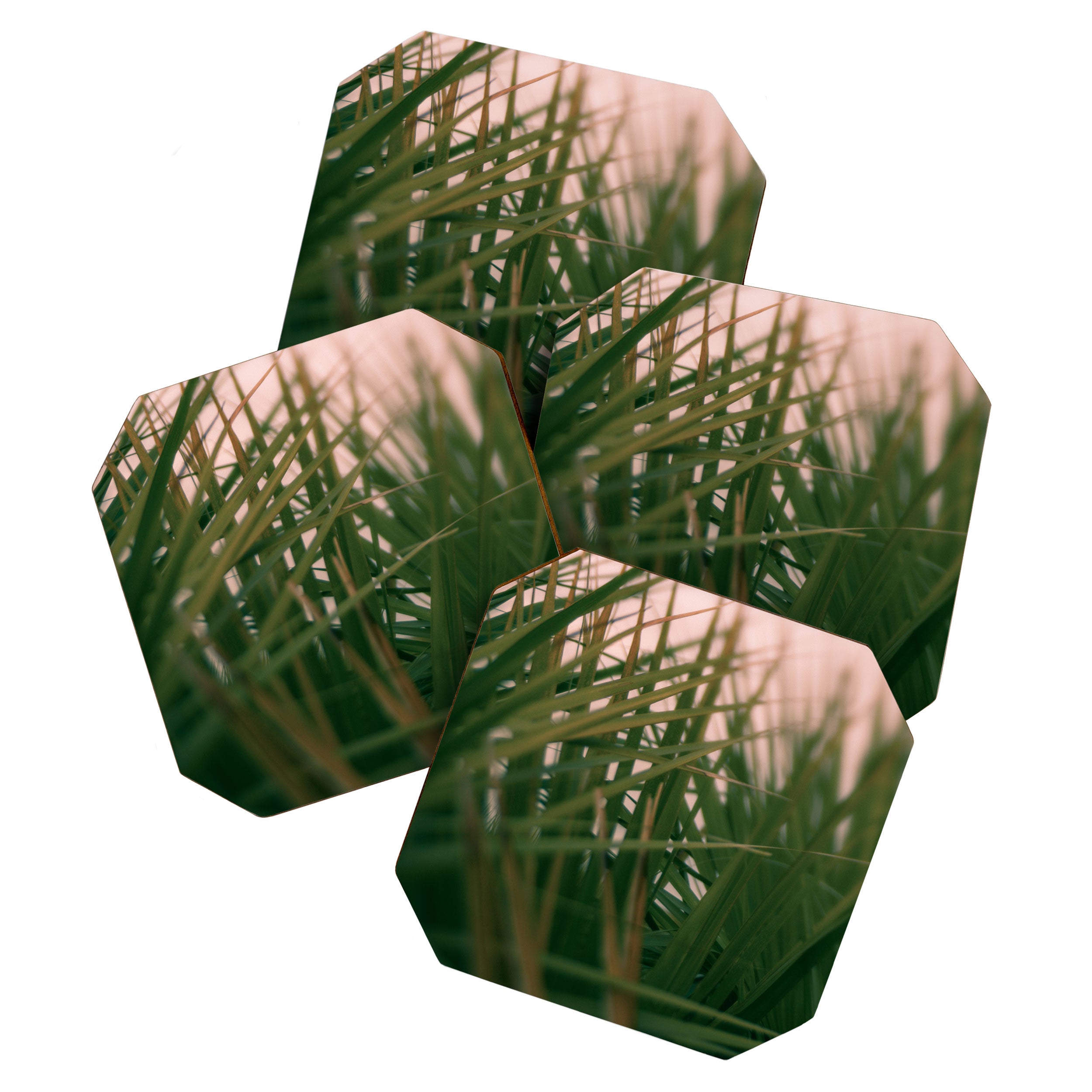 Sunset Palmettos Coaster Gallery Image 1