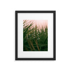 Sunset Palmettos Framed Art Print Gallery Image 5