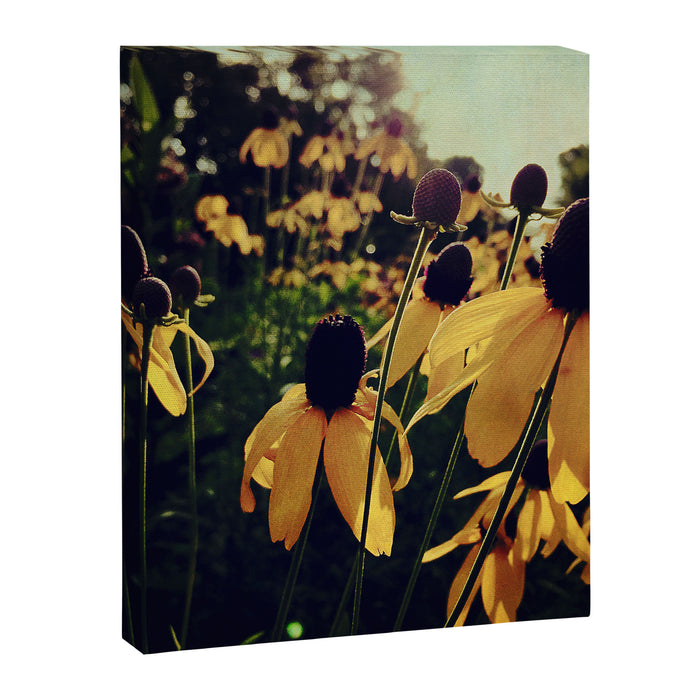 Sunshine and Flowers Canvas Print Gallery Image 1