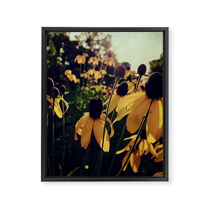 Sunshine and Flowers Framed Canvas Print Gallery Image 1