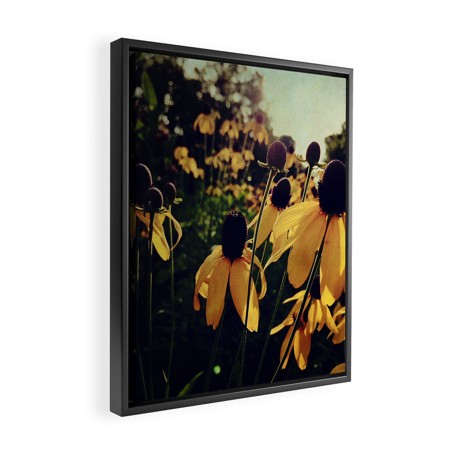 Sunshine and Flowers Framed Canvas Print Gallery Image 2