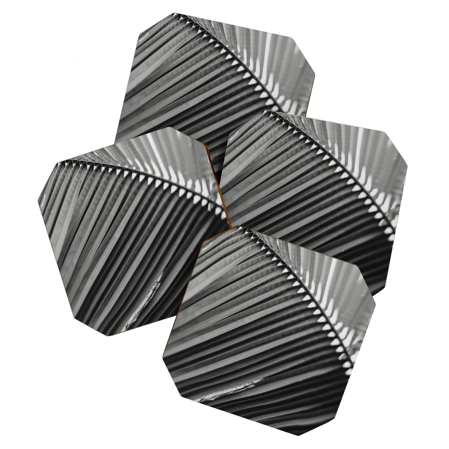 Sway - Modern Minimal Botanical Coaster Gallery Image 1