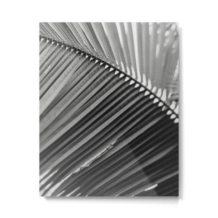 Sway - Modern Minimal Botanical Metal Print Gallery Image 1