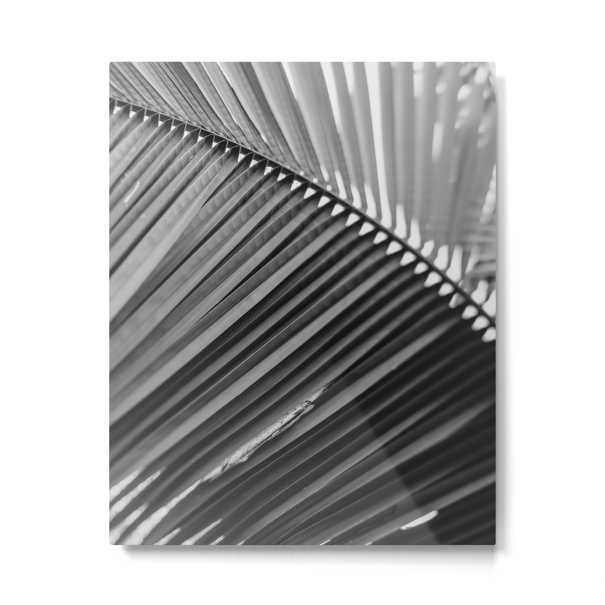 Sway - Modern Minimal Botanical Metal Print Gallery Image 4