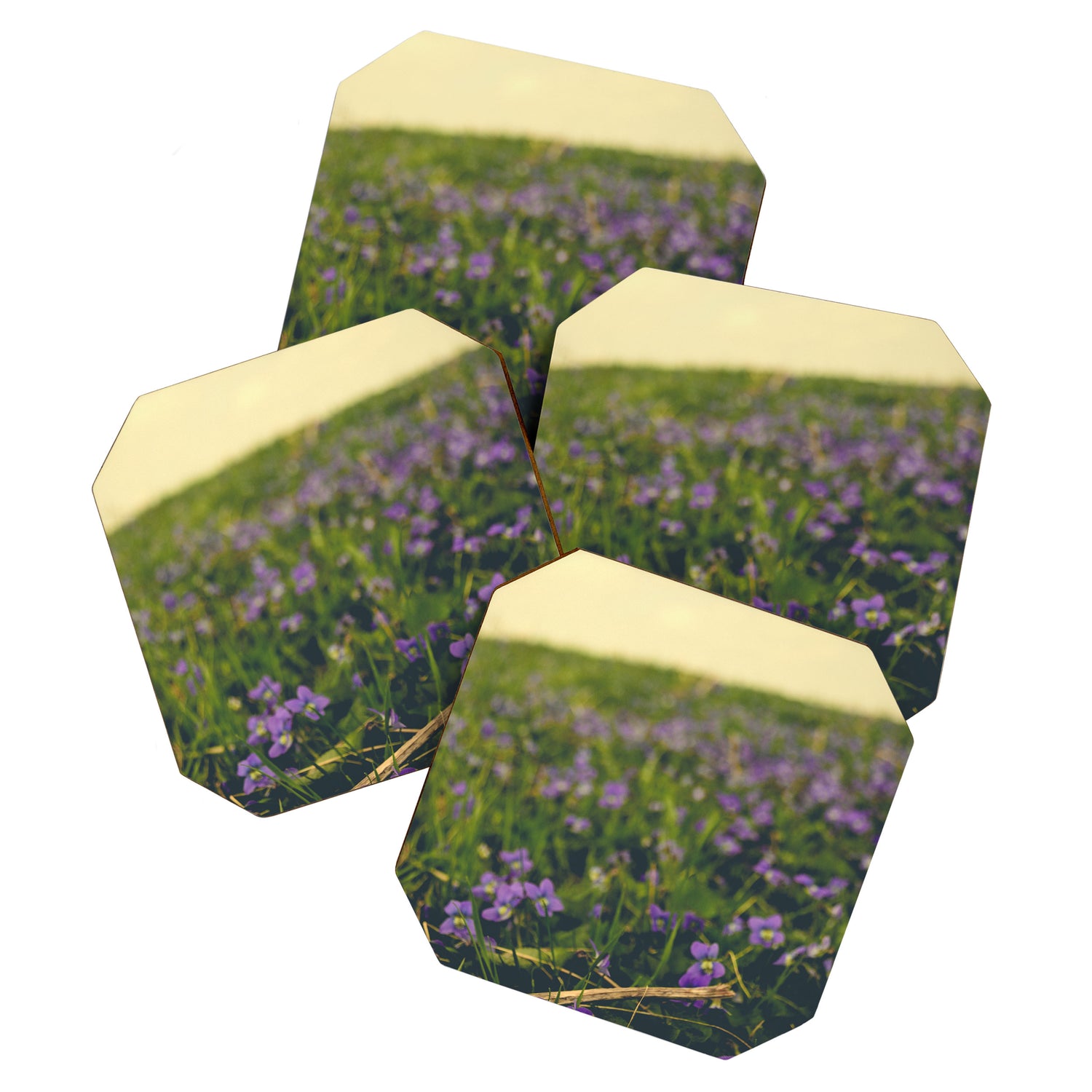 Sweet Violets Coaster Gallery Image 1
