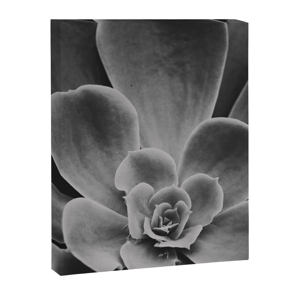 Symmetry - succulent black and white botanical Canvas Print Gallery Image 6