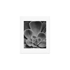 Symmetry - succulent black and white botanical Art Print Gallery Image 1