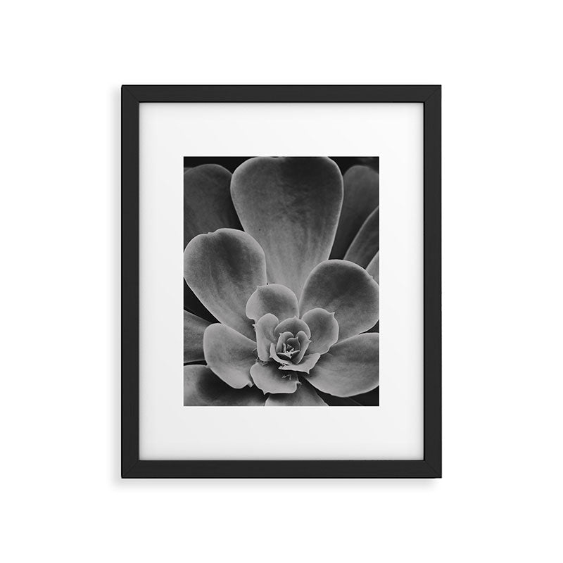 Symmetry - succulent black and white botanical Framed Art Print Gallery Image 5