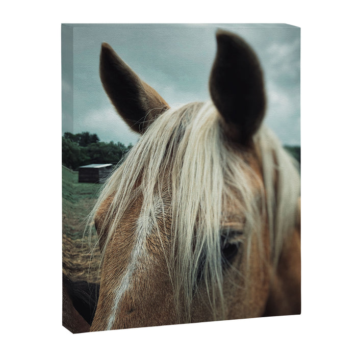 Talulah Canvas Print Gallery Image 1